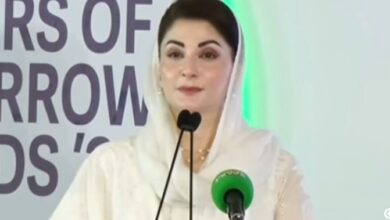 maryam nawaz sharif