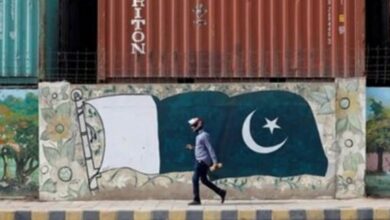 pakistan flag in dehli