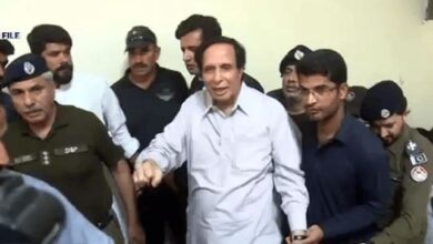 pervaiz ilahi
