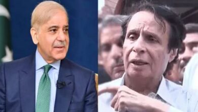 pervez ilahi and shehbaz