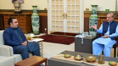 pm shebaz sharief meets bilawal bhtoo