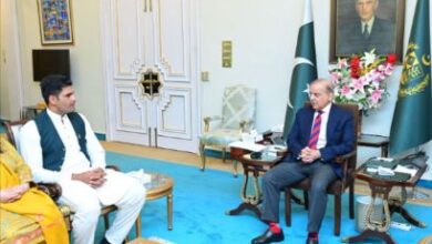 prime minister arshad nadeem