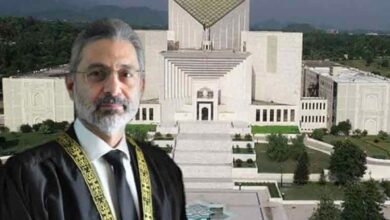 qazi faiz esa remarks in mubarik sani case