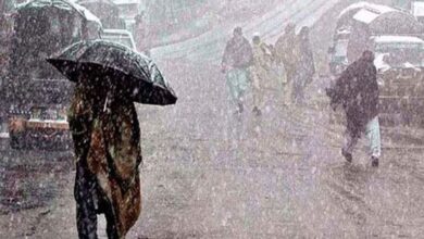 rain in punjab