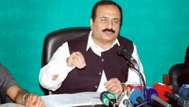 rana mashood