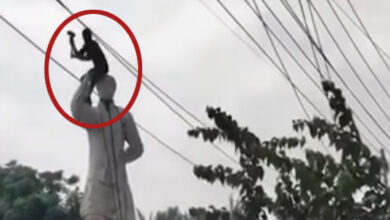 sheikh mujeeb ur rehman