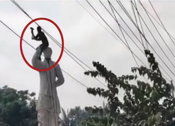 sheikh mujeeb ur rehman