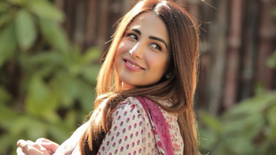 actress ushna shah