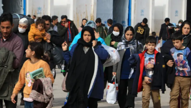 afghan citizens in iran
