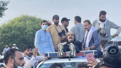 ali ameen gandapure
