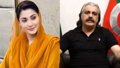 ali ameen gandapure and maryam nawaz