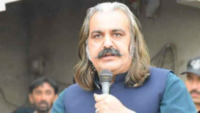 ali amin gandapur