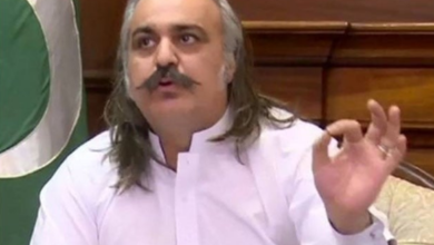 ali amin gandapur