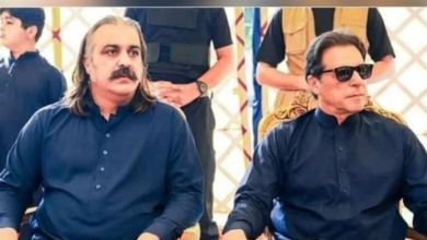 ali amin gandapur,imran khan