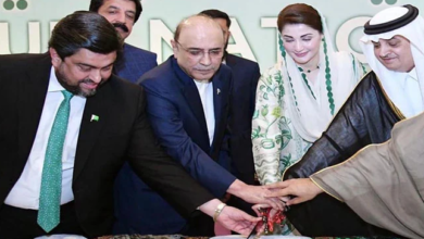 asif ali zardari,cm maryam nawaz