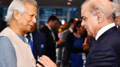 chief advisor bangla desh,pm shebaz sharief