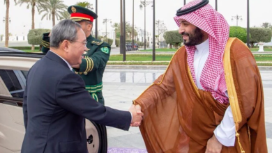 chines pm,crown prince mbs