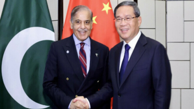 chines pm,pm shebaz sharief