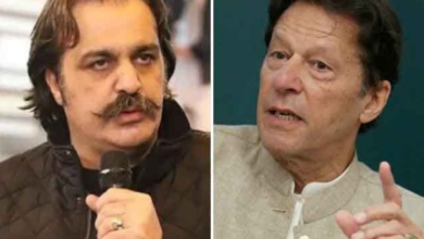 cm kpk ali amin gandapur,imran khan