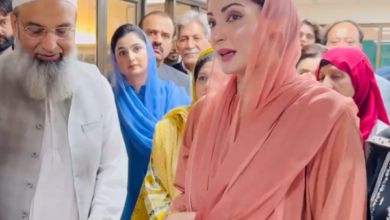 cm maryam nawaz 3