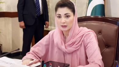 cm maryam nawaz