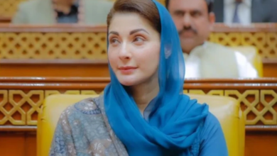 cm maryam nawaz