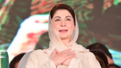 cm maryam nawaz