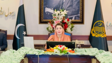 cm maryam nawaz