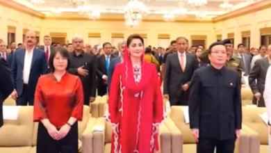 cm maryam nawaz visit china