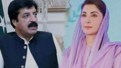 cm maryam nawaz,governor punjab