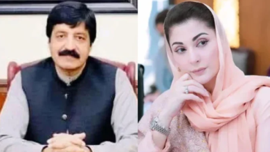 cm maryam nawaz,governor saleem haider