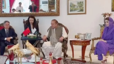cm maryam nawaz,nawaz sharief,chines