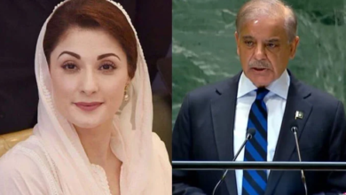 cm maryam nawaz,pm shebaz sharief