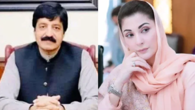 cm maryam nawaz,saleem haider