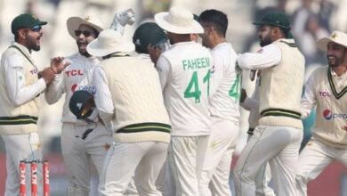 cricket