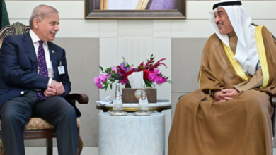 crown prince of kayat,pm shebaz sharief