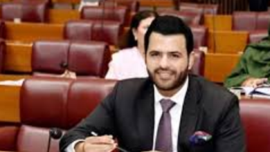 daniyal chaudhry pmln barrister in national assembly