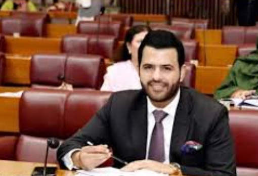 daniyal chaudhry pmln barrister in national assembly