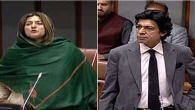 faisal wada and falk naz