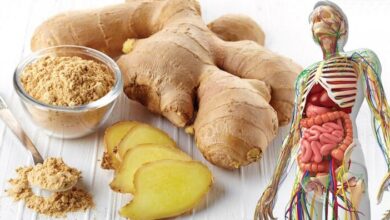 ginger
