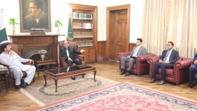 governor punjab meets chairman nab