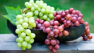 grapes