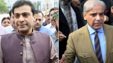 hamza shebaz,pm shebaz sharief