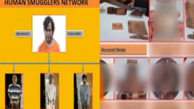 human sumagglers network