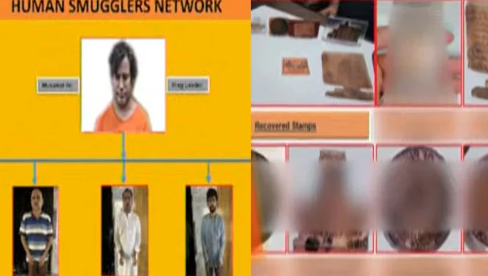 human sumagglers network