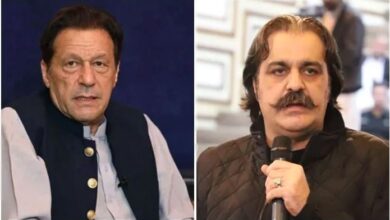 imran khan and ali amin gandapur