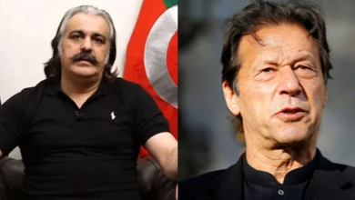 imran khan.ali amin gandapur