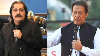 imran khan,ali amin gandapur