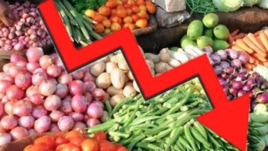 influnce report of pakistan