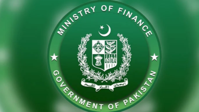 ministry of pfinance punjab